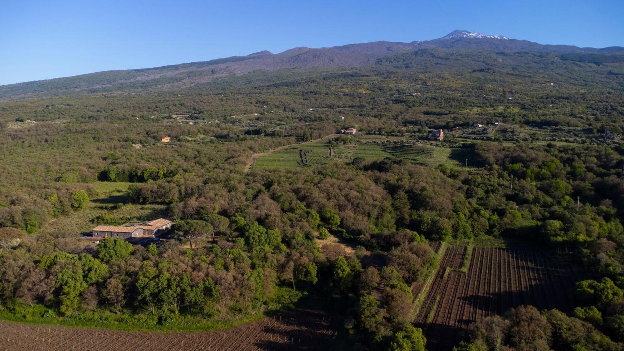 فيلا Parco Statella Montelaguardia المظهر الخارجي الصورة